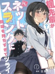 《陶土橙的午后》详情索引图
